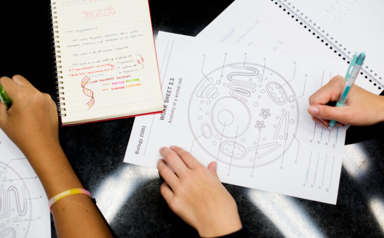 Module 4 QI Model Assignment