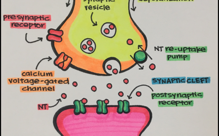  N6901W Advanced Pharmacology for DNP