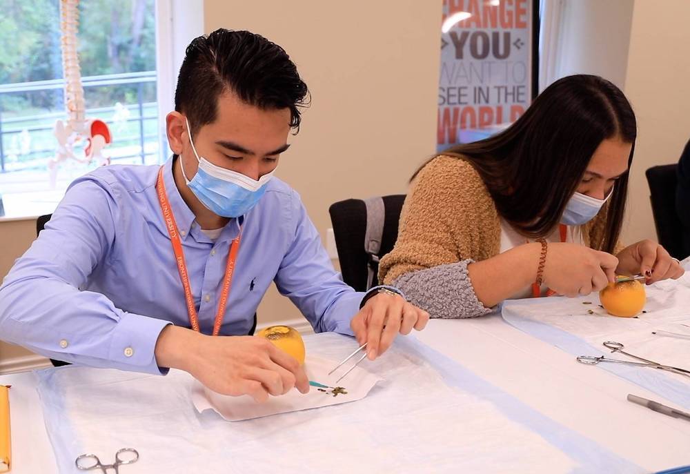 N6908B Family Nurse Practitioner Clinical I for DNP